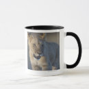 Search for lion portrait mugs Wildlife