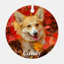 Search for pembroke welsh corgi christmas tree decorations Animal lover