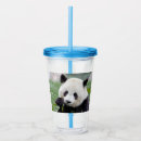 Search for panda tumblers Nature