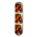 Search for pony skateboards Ponies