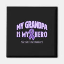 Search for my hero magnets Cancer