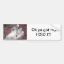 Search for kittens bumper stickers Cute