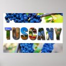 Search for italian vineyard posters Travel