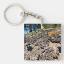 Search for lava key rings Nature