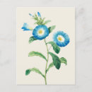 Search for redoute postcards Flower
