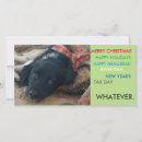 Search for not politically correct postcards Xmas