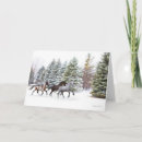 Search for dashing through the snow cards Horse