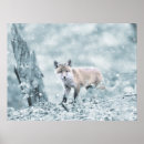 Search for cute baby animals posters Winter