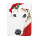 Search for charity christmas cards Dog