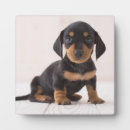 Search for dachshund nursery decor Baby