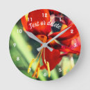 Search for daylily Nature