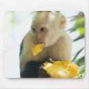 Search for selection mouse mats Freshness