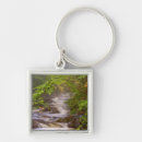 Search for stream key rings River