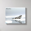 Search for seals canvas prints Wildlife