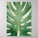 Search for monstera leaf posters Pattern