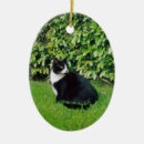 Search for domestic shorthair cat christmas tree decorations Kitty
