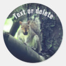 Search for squirrel stickers Nature
