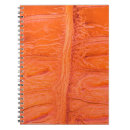 Search for crocodile notebooks Abstract
