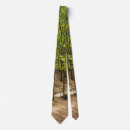 Search for forest path ties Woods