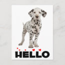 Search for dalmation puppy postcards Cute