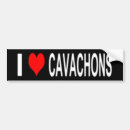 Search for cavaliers bumper stickers Puppy