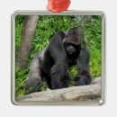 Search for gorilla christmas tree decorations Great ape