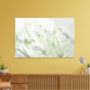 Search for white flower canvas prints Photography