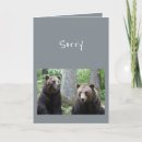 Search for said cards Apology
