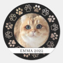 Search for ceramic stickers Cute