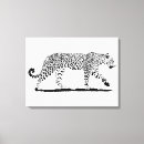 Search for white leopard art Safari