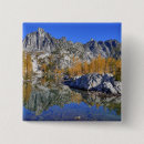 Search for alpine badges Usa