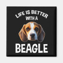 Search for beagle magnets Cute