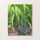 Search for tiger puzzles Cute