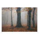 Search for autumn mist art Serene