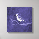 Search for blue jay bird canvas prints Animals