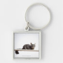 Search for portraiture key rings Feline