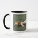 Search for african wildlife photos mugs Horizontal