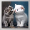 Search for kitten posters Modern