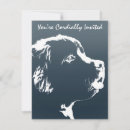 Search for newfoundland dog postcards Puppy