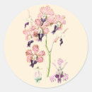 Search for botanical illustration stickers Flower