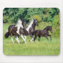 Search for gallop mouse mats Running