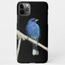 Search for songbird iphone cases Wildlife