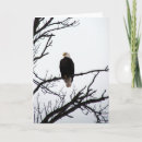 Search for bald tree cards Patriotic