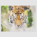 Search for wild cat gift wrap Head