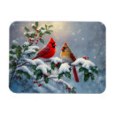 Search for red cardinal magnets Winter