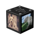 Search for pet photo cubes Sympathy