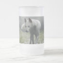 Search for white siberian husky mugs Dog