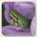 Search for tree frog barware Outdoors