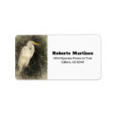 Search for herons return address labels Nature