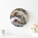 Search for monkeys art Animal photography